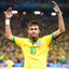 Brazil 2014 Home