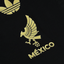 Mexico 2025 Third Version Player