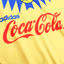 America 1994/95 Home