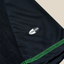 Mexico 2010 AWAY
